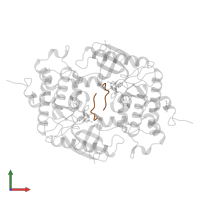 MC-PEPTIDE in PDB entry 2phk, assembly 1, front view.