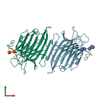 PDB entry 2phw coloured by chain, front view.