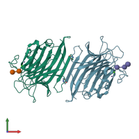 3D model of 2phx from PDBe