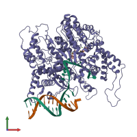 PDB entry 2pi4 coloured by chain, front view.