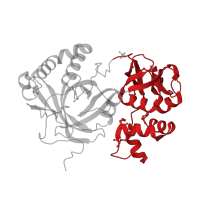 The deposited structure of PDB entry 2pi8 contains 4 copies of CATH domain 2.40.240.50 (Ribosomal Protein L25; Chain P) in Membrane-bound lytic murein transglycosylase A. Showing 1 copy in chain B.