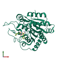 PDB entry 2pj6 coloured by chain, front view.