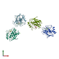 PDB entry 2pjt coloured by chain, front view.