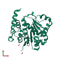 Monomeric assembly 1 of PDB entry 2pl3 coloured by chemically distinct molecules, front view.