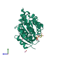 Monomeric assembly 1 of PDB entry 2pl3 coloured by chemically distinct molecules, side view.
