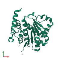 Probable ATP-dependent RNA helicase DDX10 in PDB entry 2pl3, assembly 1, front view.