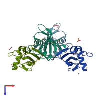PDB entry 2pli coloured by chain, top view.
