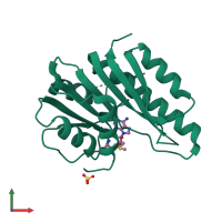 PDB entry 2plw coloured by chain, front view.