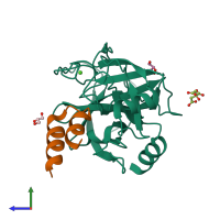 PDB entry 2plx coloured by chain, side view.