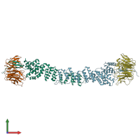 PDB entry 2pm6 coloured by chain, front view.