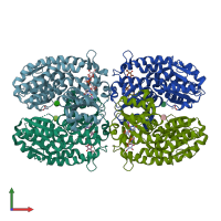 PDB entry 2poc coloured by chain, front view.