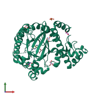 PDB entry 2pot coloured by chain, front view.