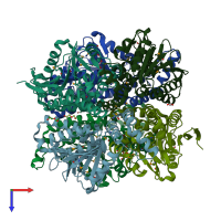 PDB entry 2ppy coloured by chain, top view.