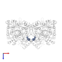 INOSINIC ACID in PDB entry 2prj, assembly 1, top view.