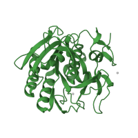 The deposited structure of PDB entry 2prk contains 1 copy of SCOP domain 52744 (Subtilases) in Proteinase K. Showing 1 copy in chain A.