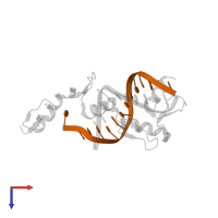 DNA (5'-D(*CP*AP*GP*AP*CP*GP*CP*CP*CP*CP*CP*GP*CP*G)-3') in PDB entry 2prt, assembly 1, top view.