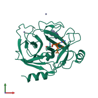 PDB entry 2psy coloured by chain, front view.