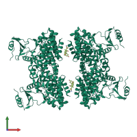 Homo tetrameric assembly 2 of PDB entry 2pu8 coloured by chemically distinct molecules, front view.