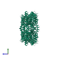 Homo tetrameric assembly 2 of PDB entry 2pu8 coloured by chemically distinct molecules, side view.