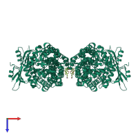 Homo tetrameric assembly 2 of PDB entry 2pu8 coloured by chemically distinct molecules, top view.