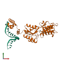 PDB entry 2pug coloured by chain, front view.