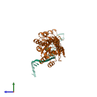 PDB entry 2pug coloured by chain, side view.