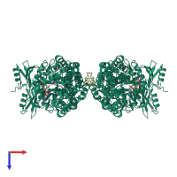 Homo tetrameric assembly 2 of PDB entry 2pun coloured by chemically distinct molecules, top view.