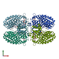 PDB entry 2put coloured by chain, front view.