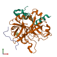 PDB entry 2pux coloured by chain, front view.