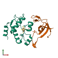 PDB entry 2pvd coloured by chain, front view.
