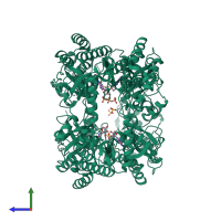 Homo tetrameric assembly 1 of PDB entry 2pvy coloured by chemically distinct molecules, side view.