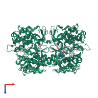 Homo tetrameric assembly 1 of PDB entry 2pvy coloured by chemically distinct molecules, top view.