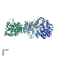 PDB entry 2pwp coloured by chain, top view.