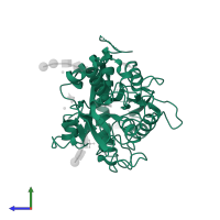 Lactotransferrin in PDB entry 2px1, assembly 1, side view.