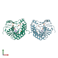 PDB entry 2px5 coloured by chain, front view.