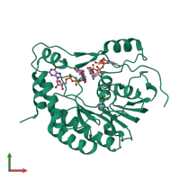 PDB entry 2pxc coloured by chain, front view.
