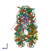 PDB entry 2pyo coloured by chain, side view.