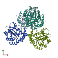 PDB entry 2q02 coloured by chain, front view.