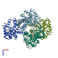 PDB entry 2q02 coloured by chain, top view.