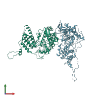 PDB entry 2q06 coloured by chain, front view.