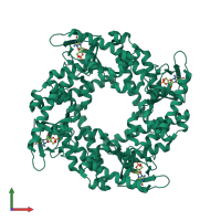 Homo tetrameric assembly 1 of PDB entry 2q0a coloured by chemically distinct molecules, front view.