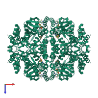 Homo octameric assembly 3 of PDB entry 2q0a coloured by chemically distinct molecules, top view.