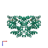 Homo tetrameric assembly 4 of PDB entry 2q0a coloured by chemically distinct molecules, top view.