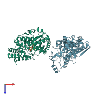 PDB entry 2q0d coloured by chain, top view.