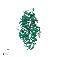 Actin, alpha skeletal muscle in PDB entry 2q0u, assembly 1, side view.