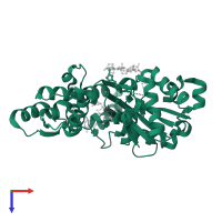 Actin, alpha skeletal muscle in PDB entry 2q0u, assembly 1, top view.