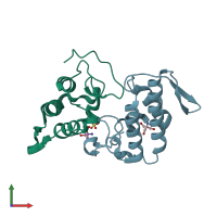 PDB entry 2q2j coloured by chain, front view.