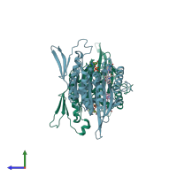 PDB entry 2q2y coloured by chain, side view.