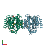 PDB entry 2q3u coloured by chain, ensemble of 8 models, front view.