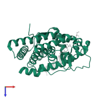 Ancestral Corticiod Receptor in PDB entry 2q3y, assembly 1, top view.